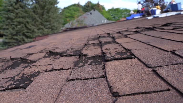 4 Ply Roofing in Vista, CA