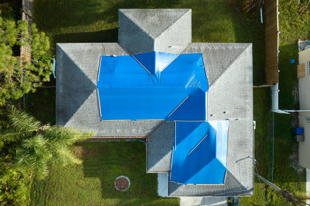Best Roof Insulation Installation  in Vista, CA